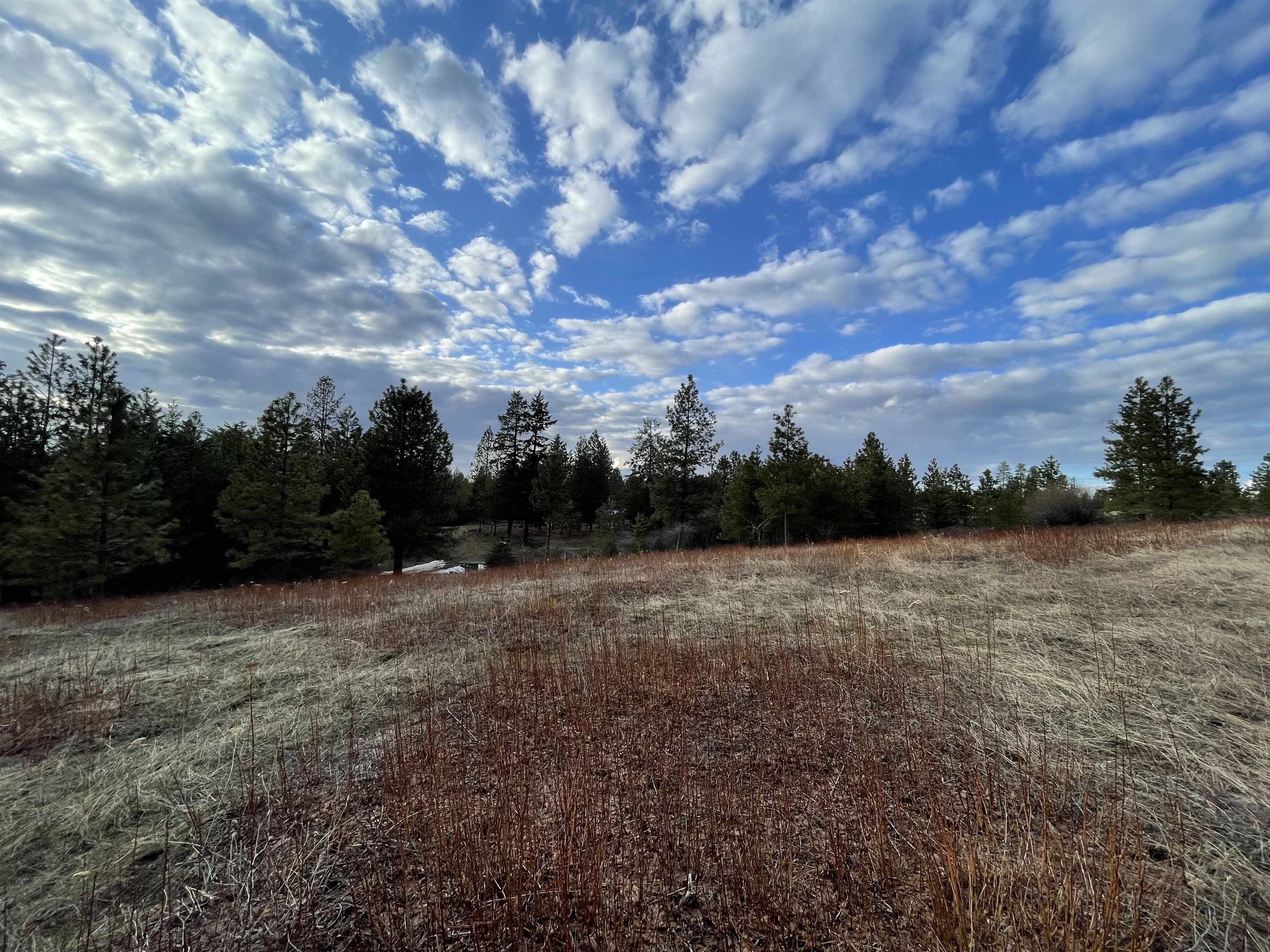 Chattaroy, Spokane County, WA Farms and Ranches for sale Property ID