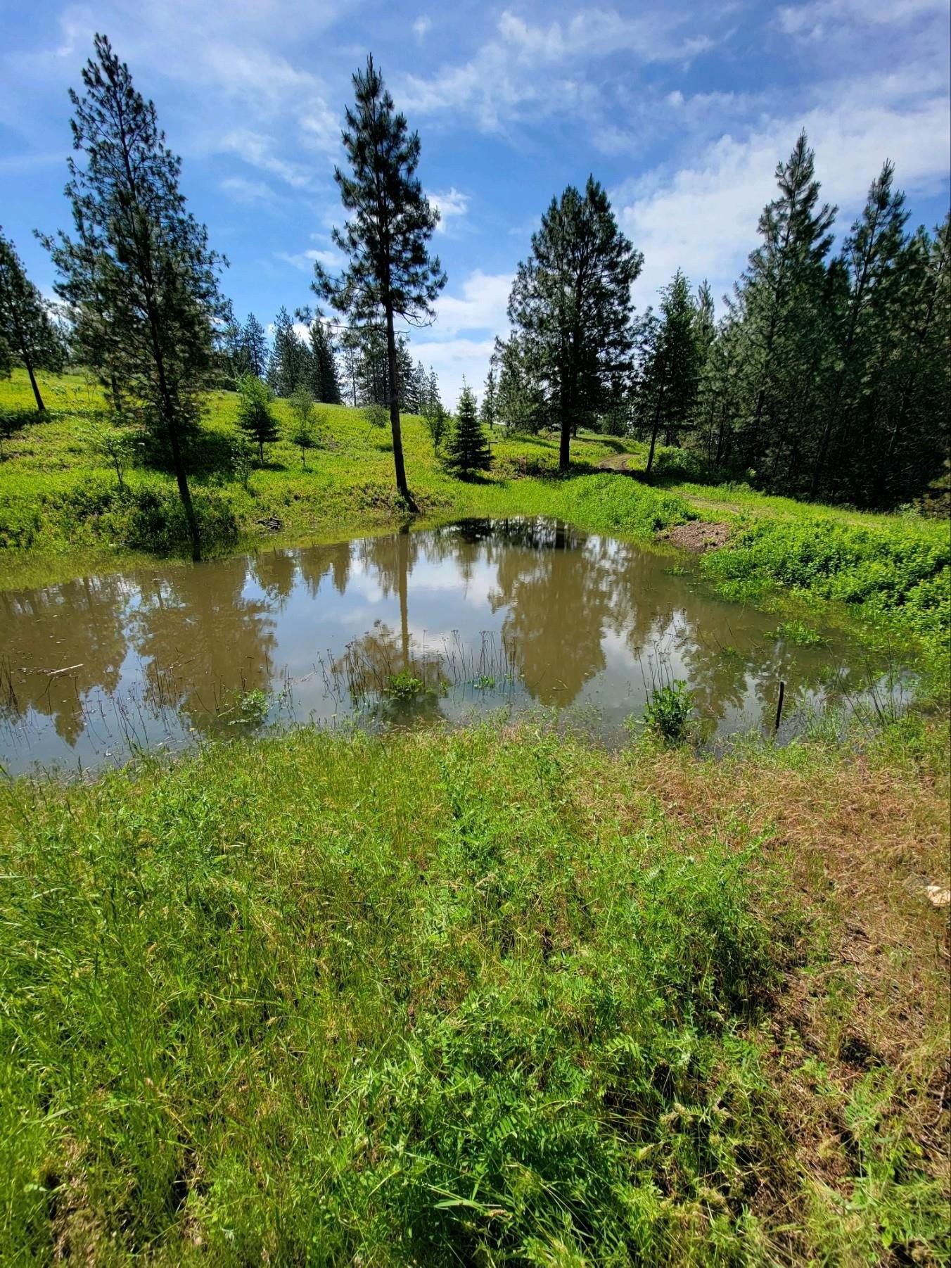 Chattaroy, Spokane County, WA Farms and Ranches for sale Property ID