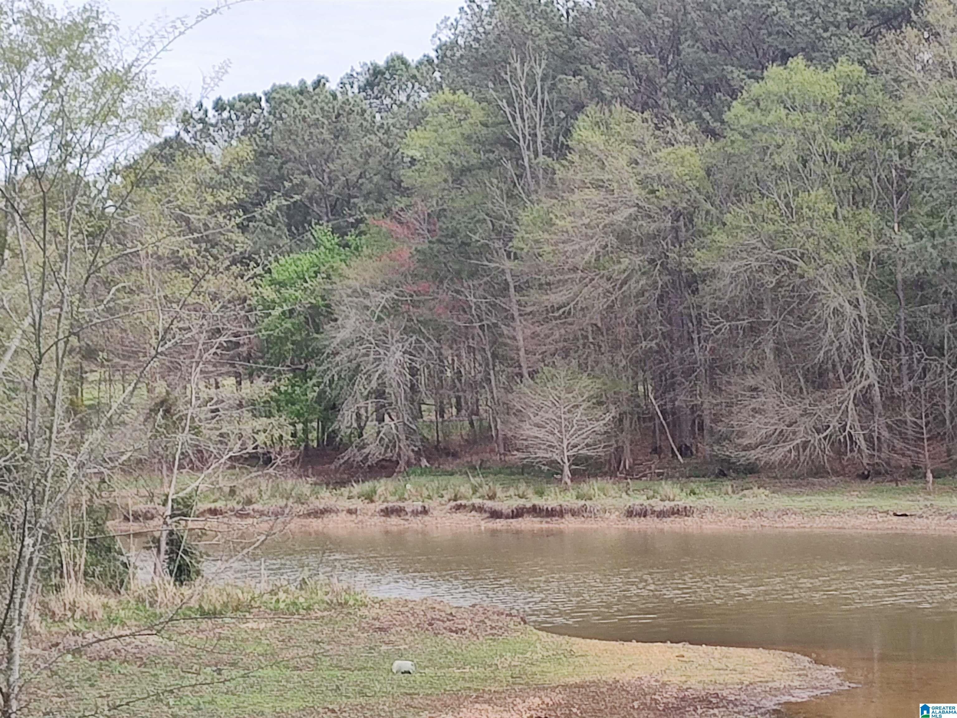 Pell City, Saint Clair County, AL Undeveloped Land, Lakefront Property