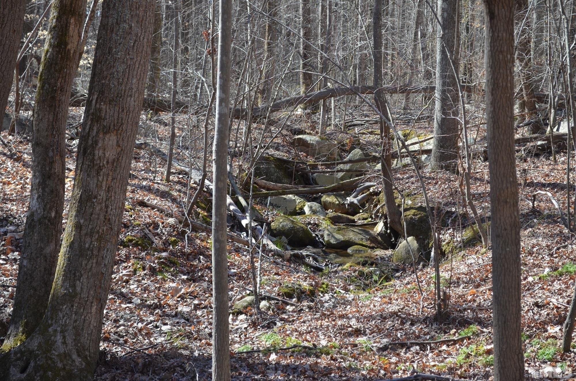 Roxboro, Person County, NC Farms and Ranches for sale Property ID