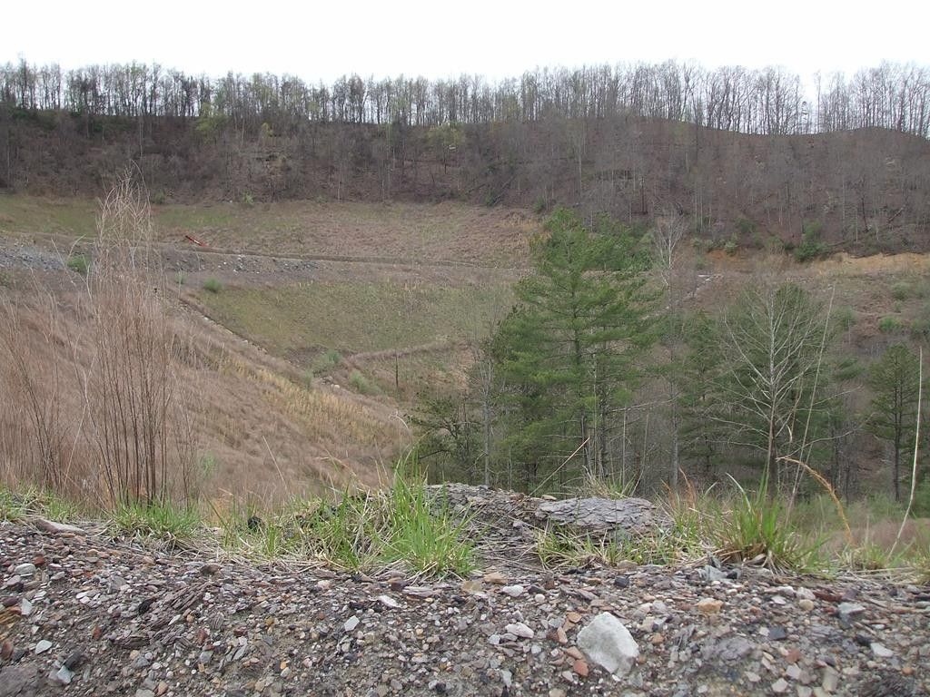 Royalton, Magoffin County, KY Farms and Ranches for sale Property ID