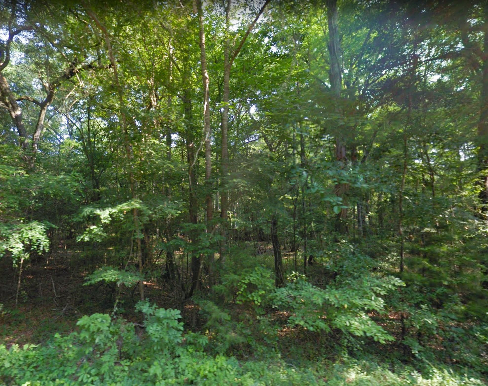 Greenwood, Jackson County, FL Undeveloped Land, Horse Property