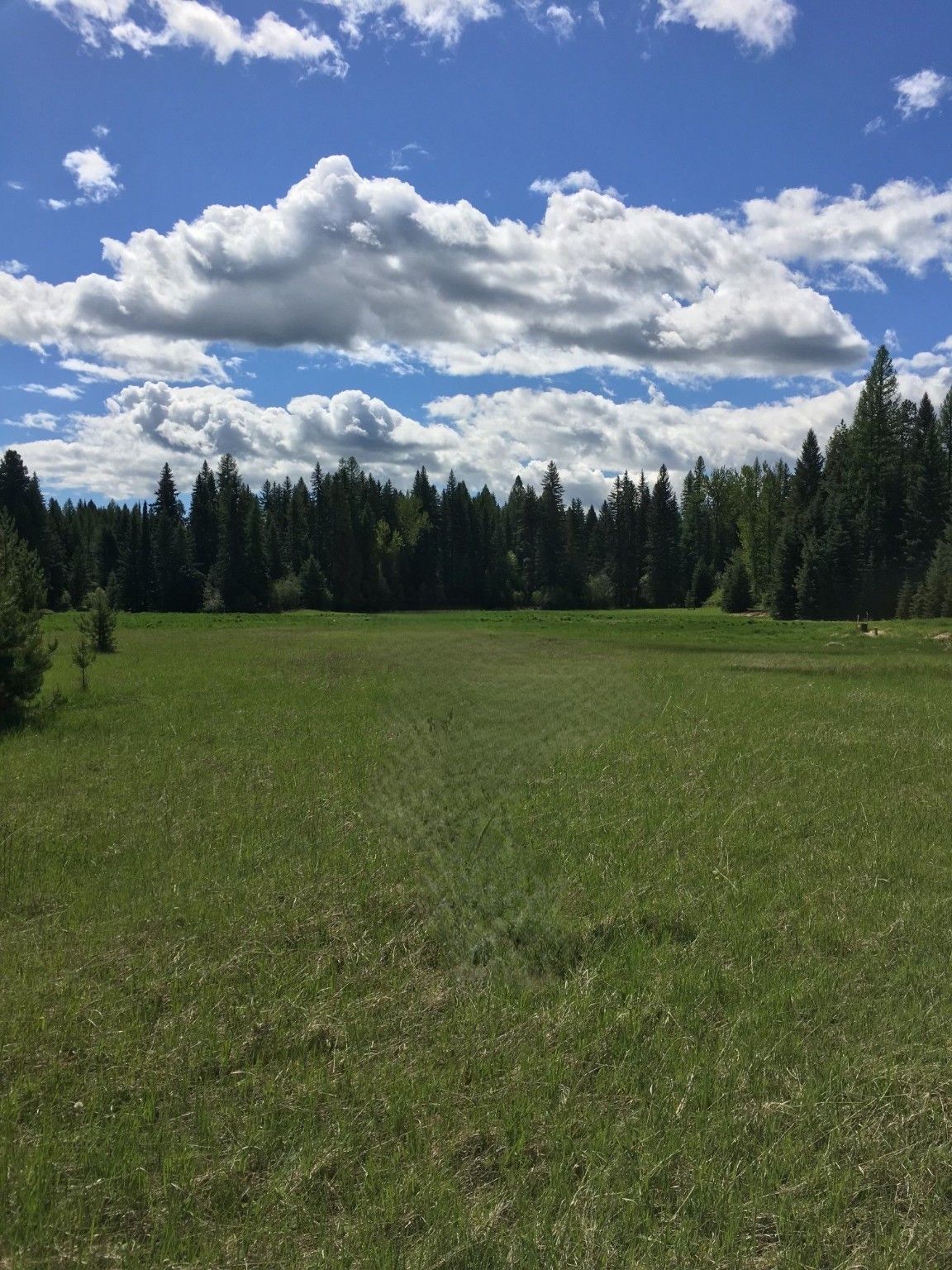 Whitefish, Flathead County, MT Farms and Ranches, Lakefront Property, Waterfront Property for