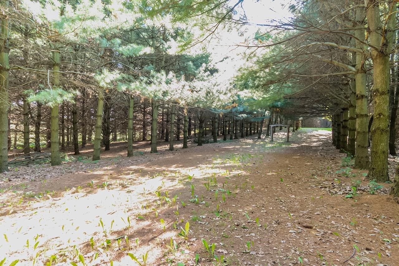 Belleville, Dane County, WI Undeveloped Land for sale Property ID 416211548 LandWatch