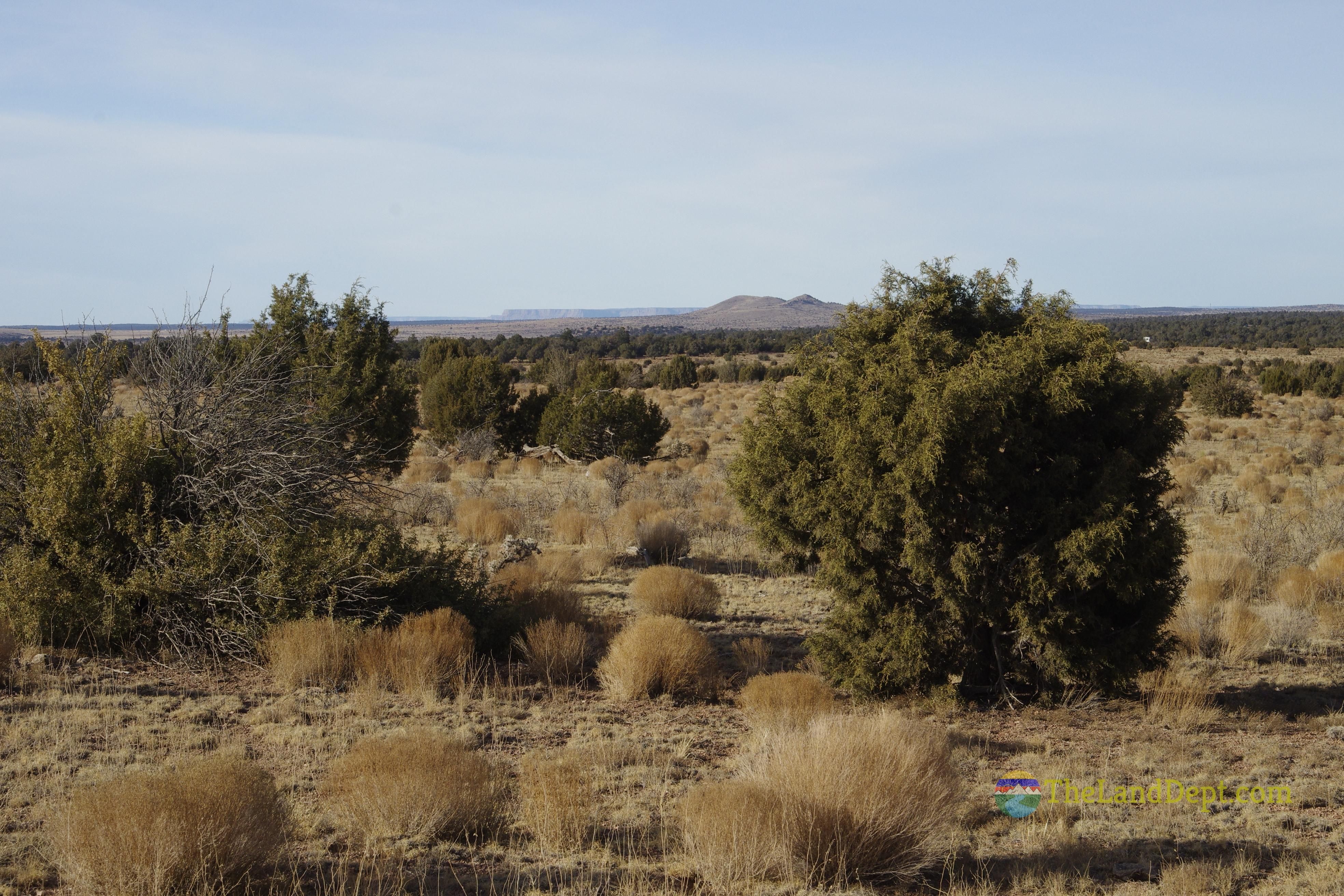 Peach Springs, Mohave County, AZ Recreational Property, Undeveloped
