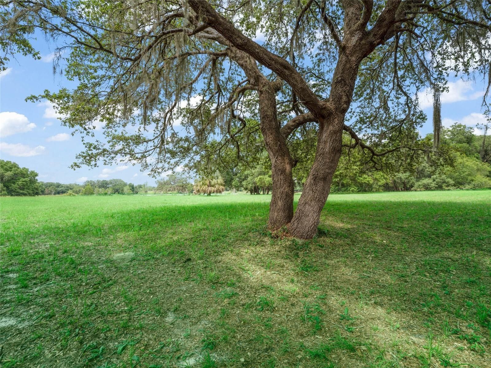 Ocklawaha, Marion County, FL Farms and Ranches, Lakefront Property