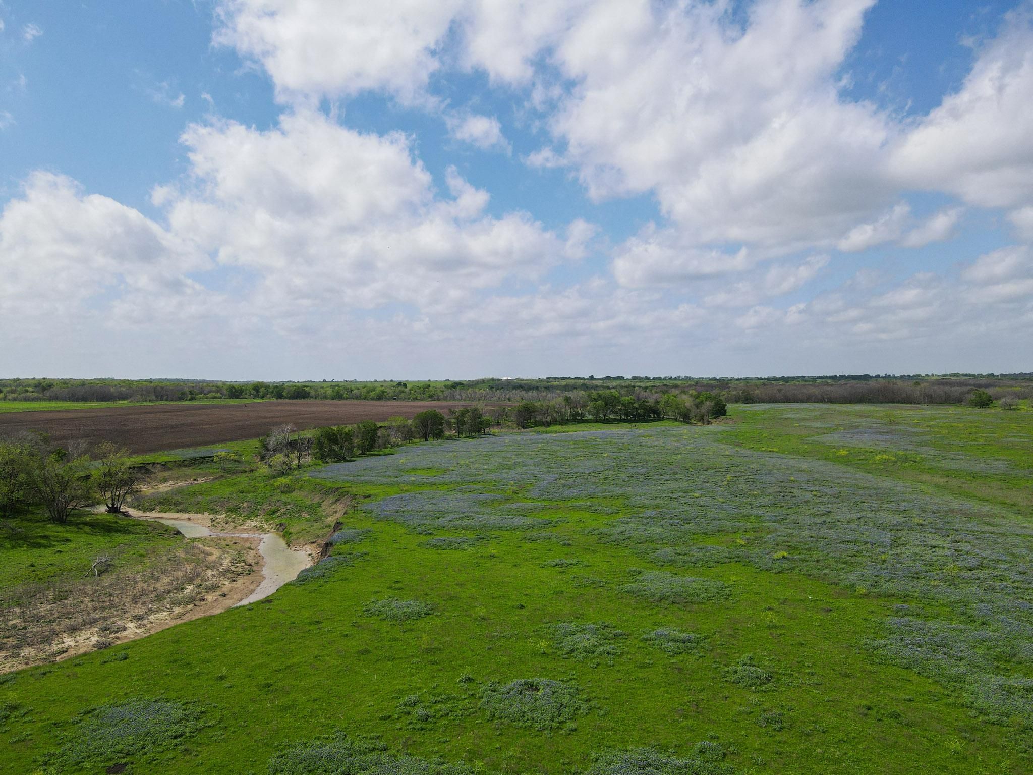 Cameron, Milam County, TX Farms and Ranches, Recreational Property