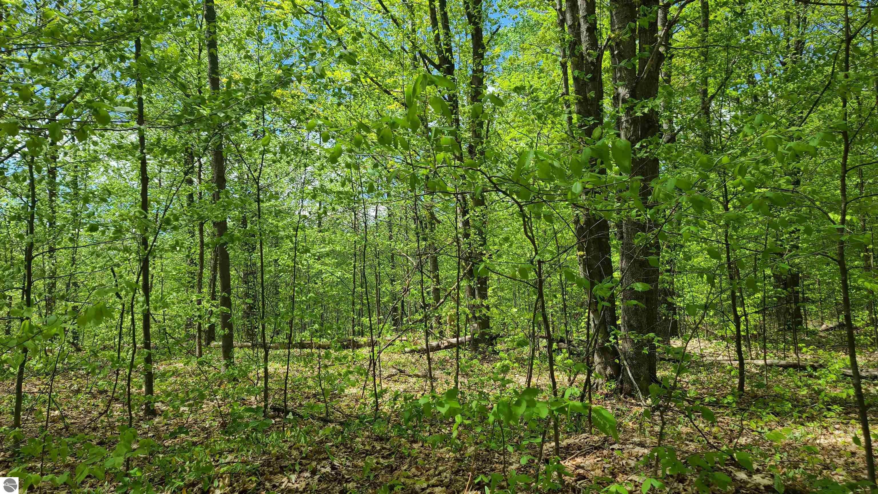 Mancelona, Antrim County, MI Farms and Ranches for sale Property ID 416215340 LandWatch