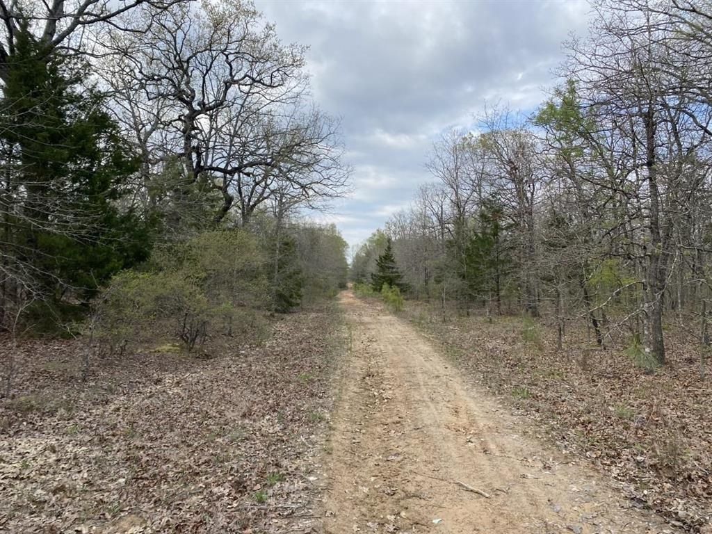 Blossom, Lamar County, TX Recreational Property for sale Property ID