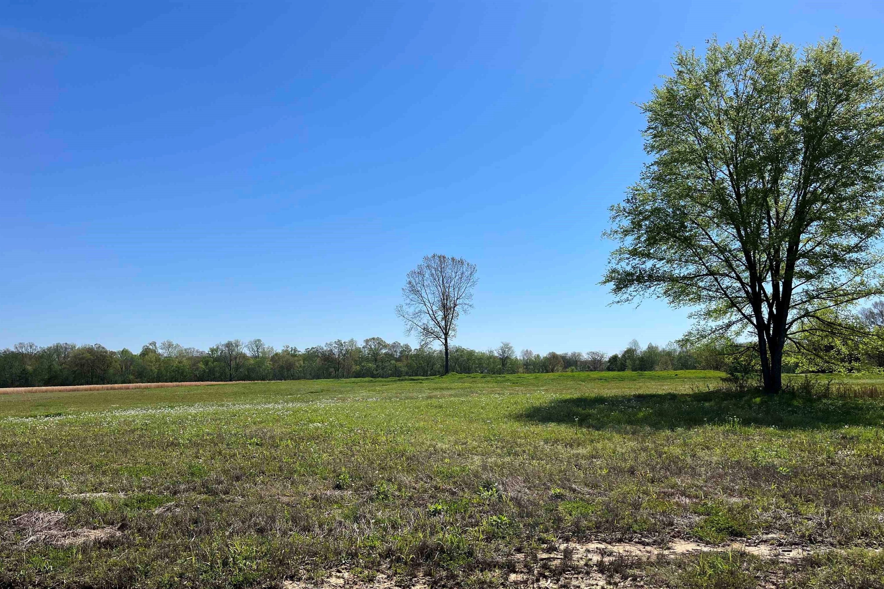 Rossville, Fayette County, TN Undeveloped Land, Homesites for sale