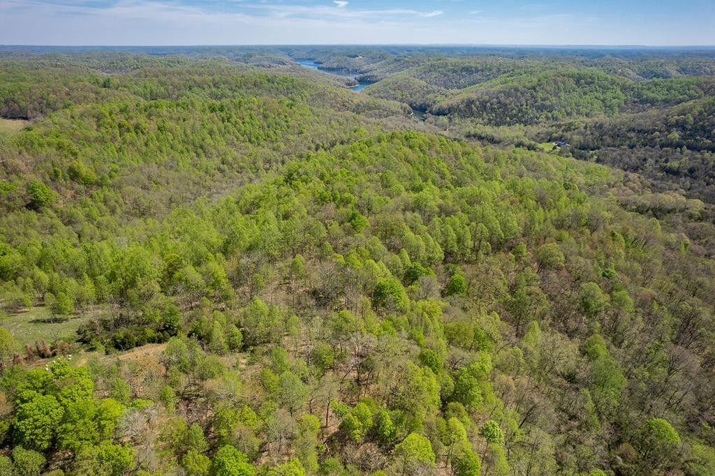 Dale Ridge Rd, Dowelltown, TN 37059 MLS 218254 LandWatch