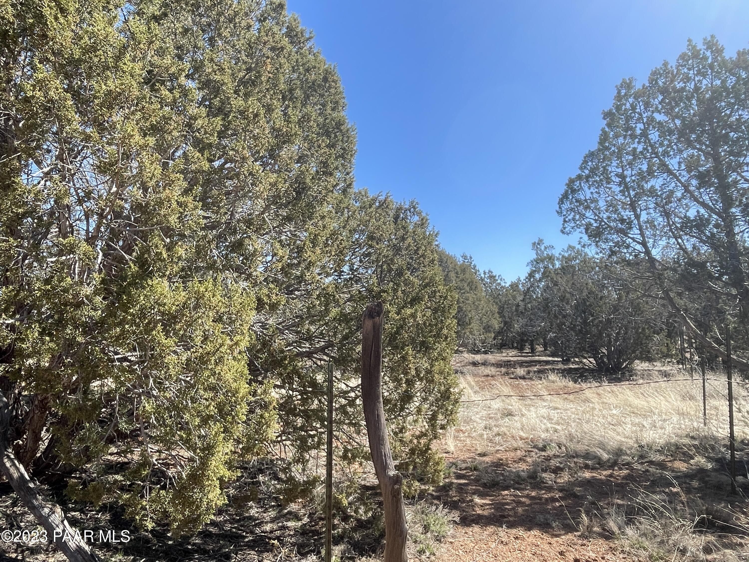 Ash Fork, Yavapai County, AZ Farms and Ranches for sale Property ID