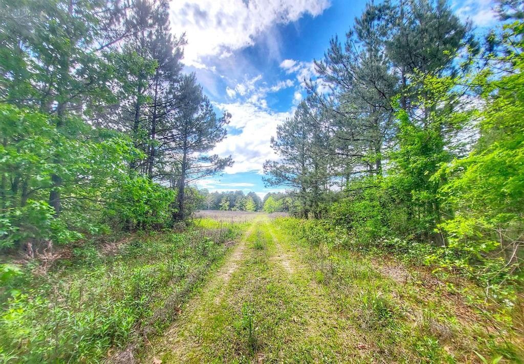 Frierson, De Soto Parish, LA Undeveloped Land for sale Property ID