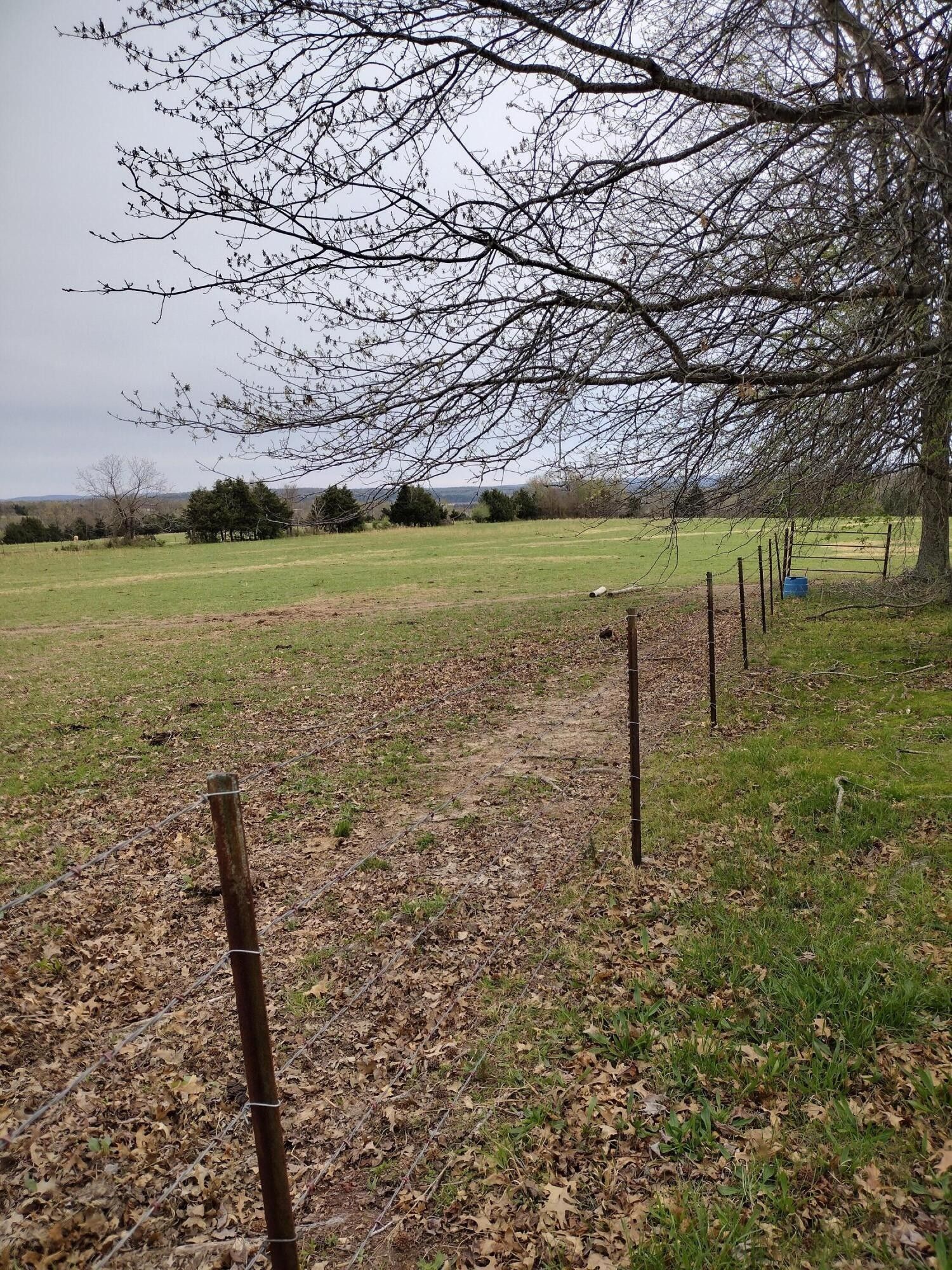 Protem, Taney County, MO Undeveloped Land for sale Property ID