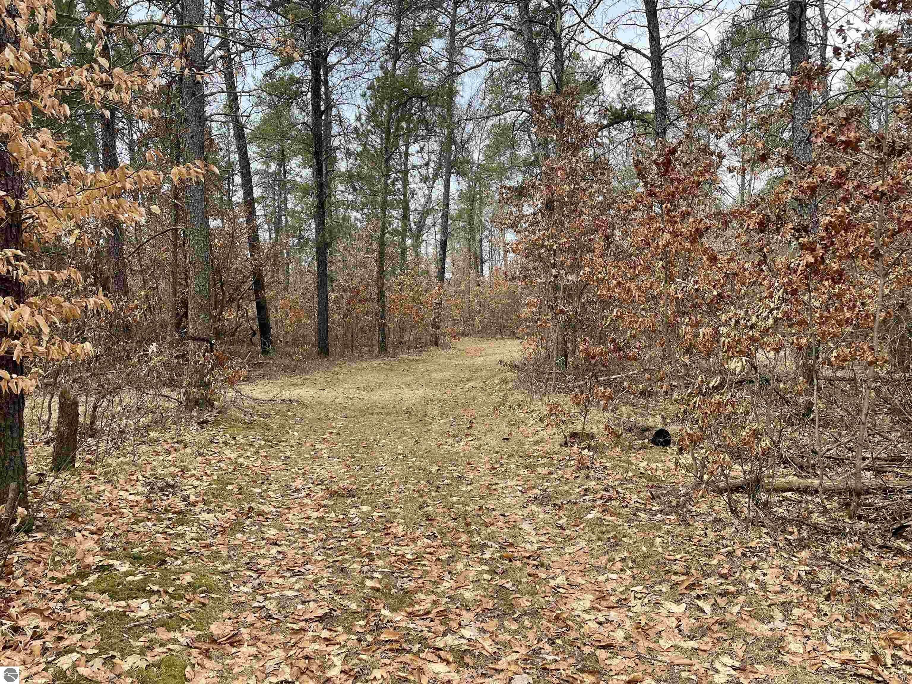 Rose City, Ogemaw County, MI Farms and Ranches, Homesites for sale