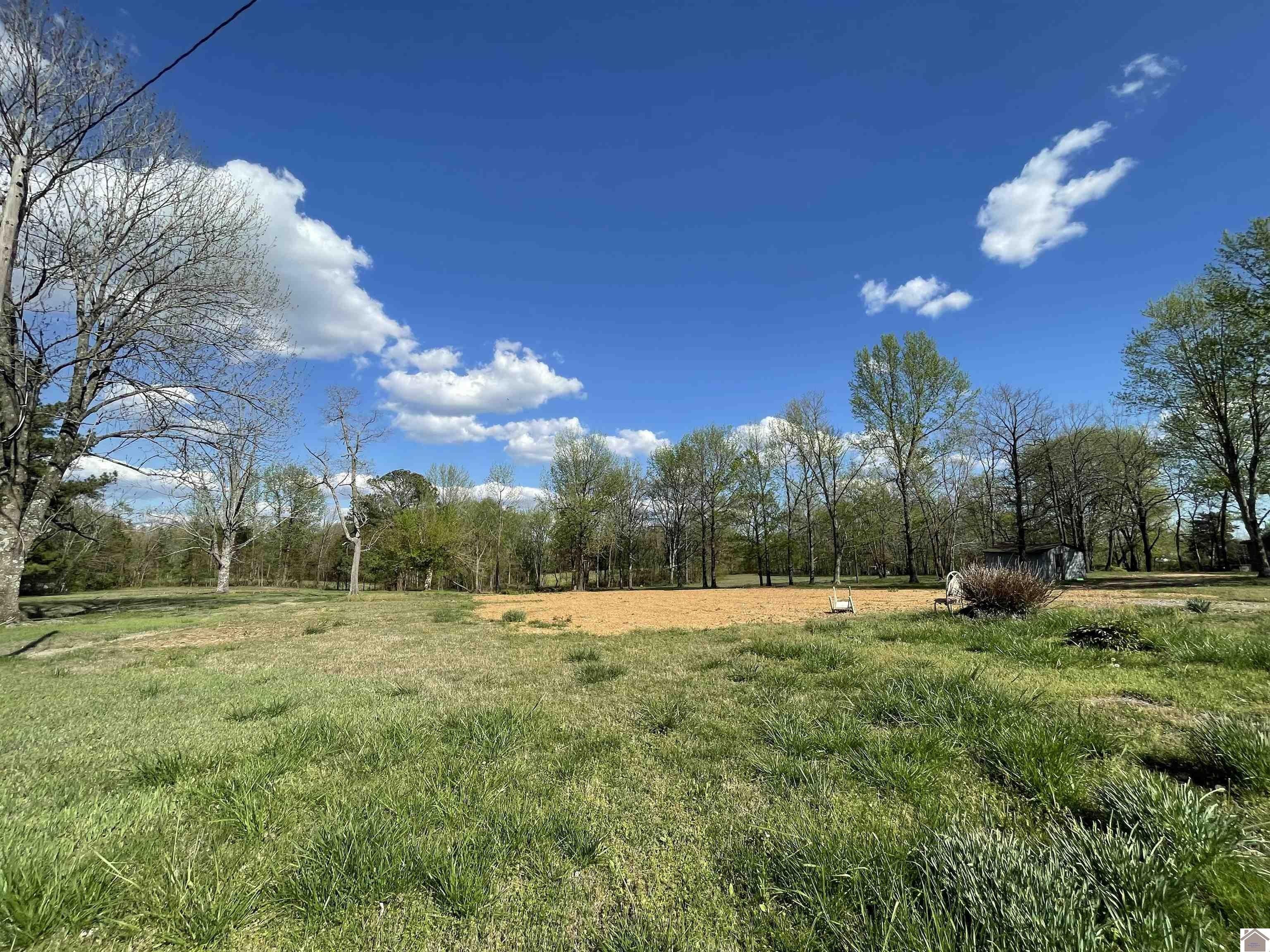 Dexter, Calloway County, KY Farms and Ranches, Homesites for sale