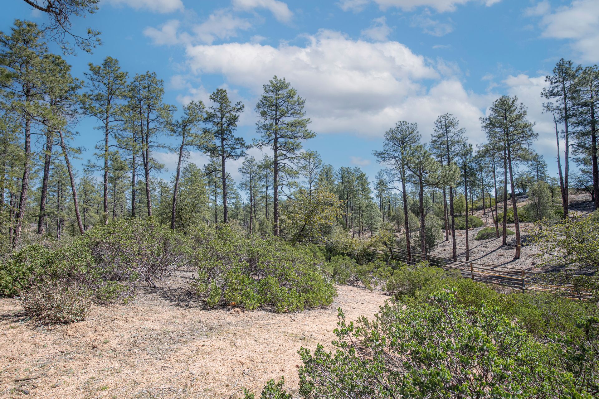 Payson, Gila County, AZ Homesites for sale Property ID 416223817