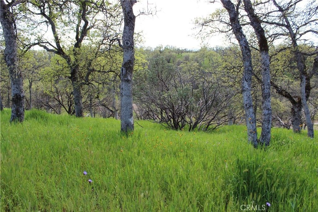 Cottonwood, Tehama County, CA Farms and Ranches, Homesites for sale