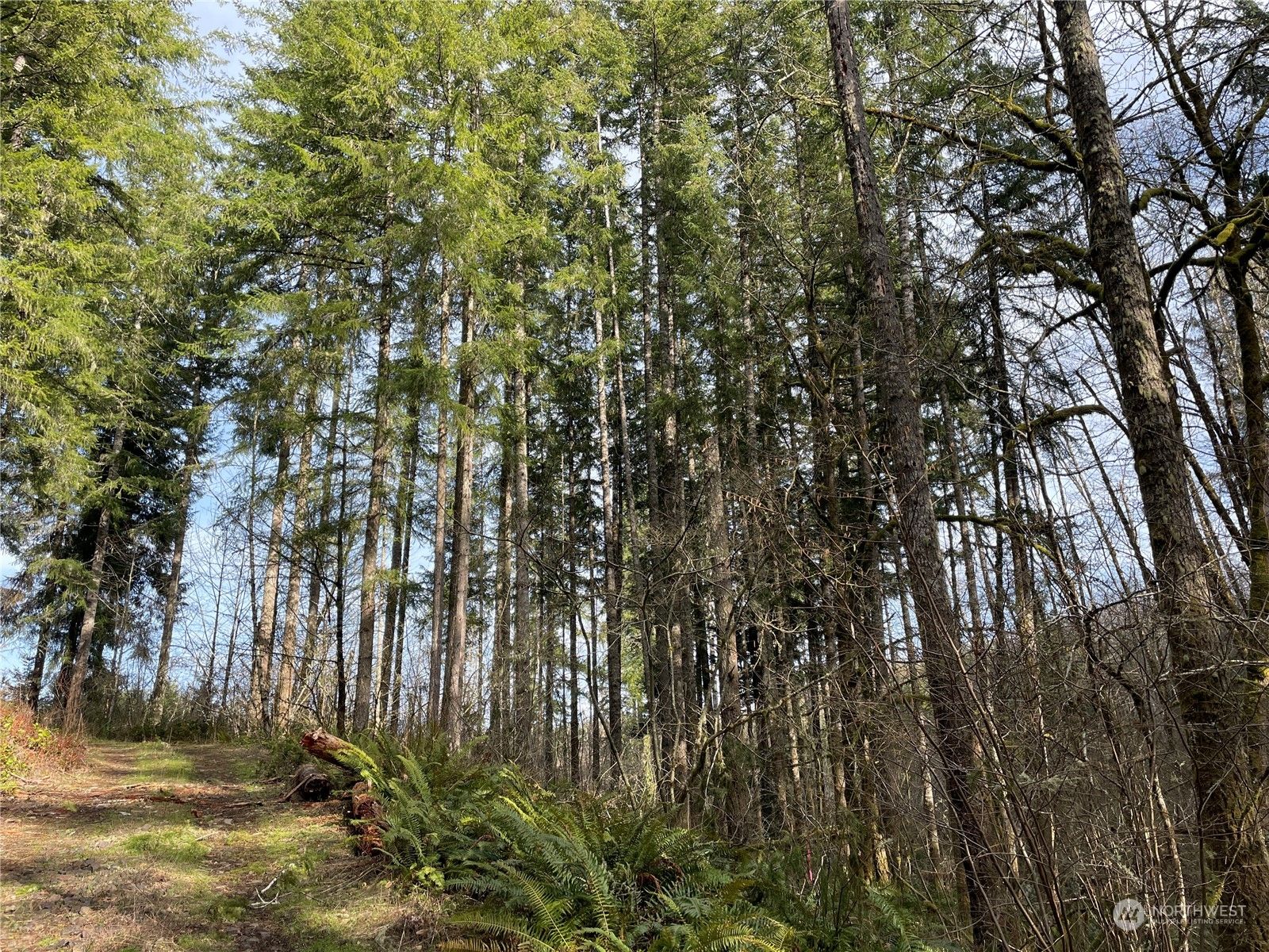 Silverlake, Cowlitz County, WA Undeveloped Land for sale Property ID