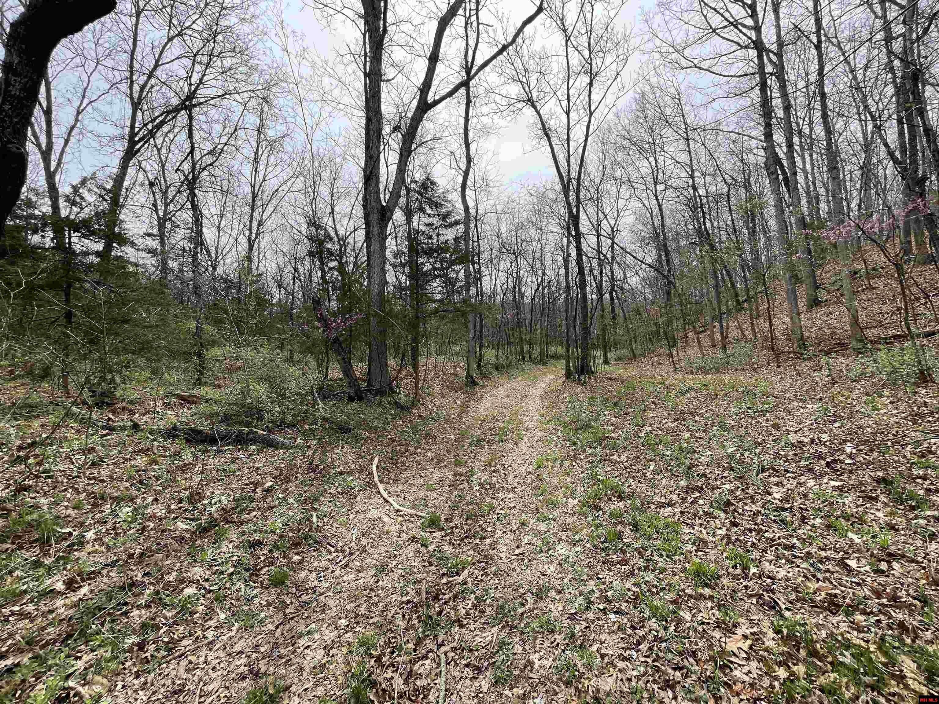 Fremont, Carter County, MO Farms and Ranches for sale Property ID