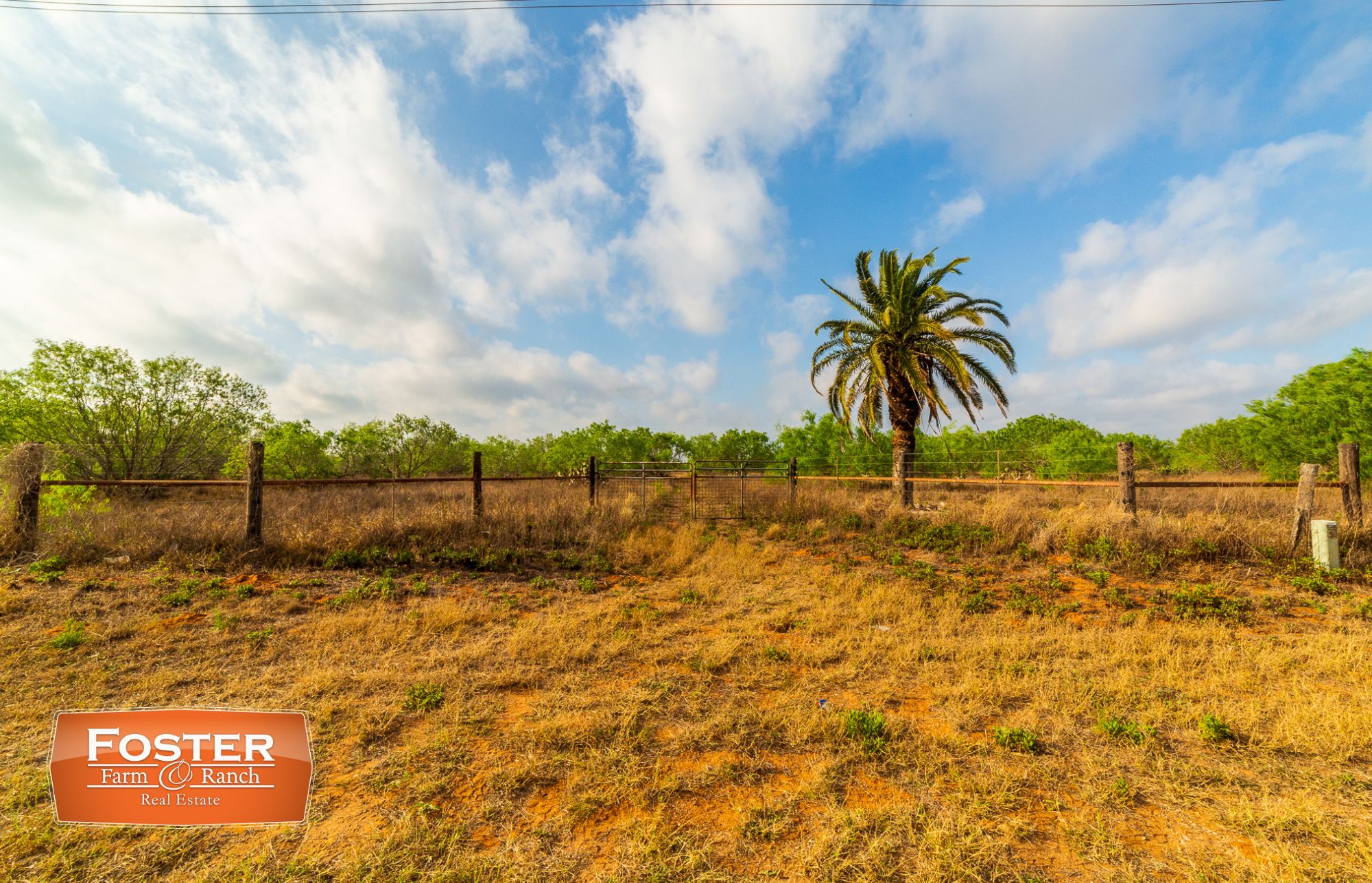 11.15 acres in Linn, TX, 78541 LandWatch