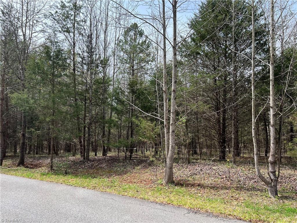 Lewisville, Forsyth County, NC Recreational Property, Undeveloped Land