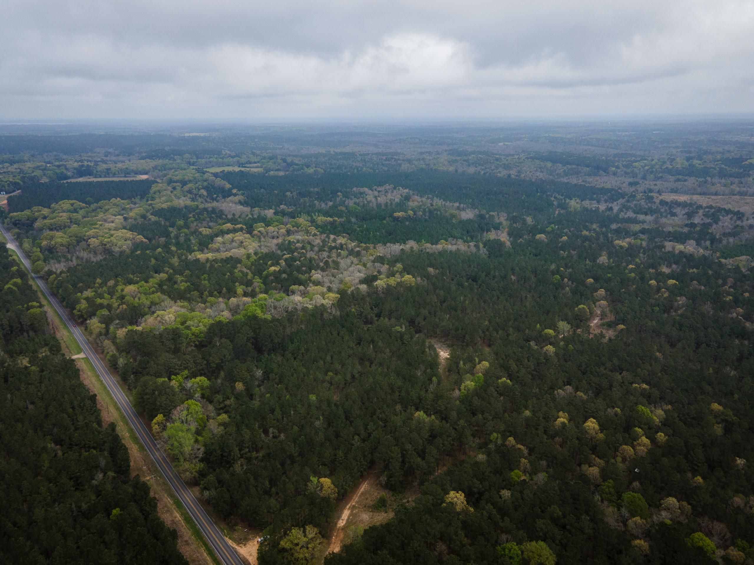 Downsville, Union Parish, LA Recreational Property, Commercial Property