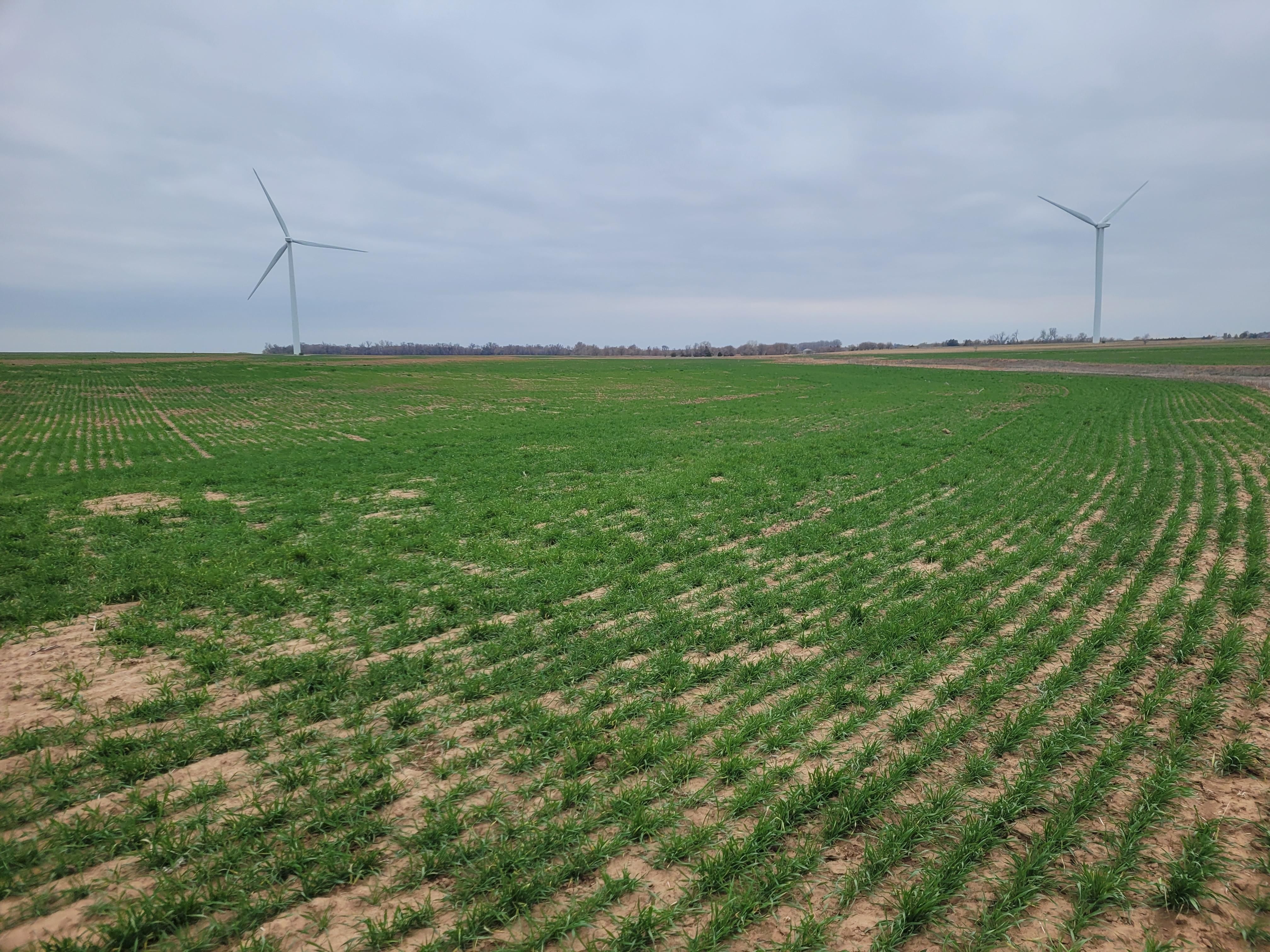 Southwest 70th Street, Kingman, KS 67068 LandWatch