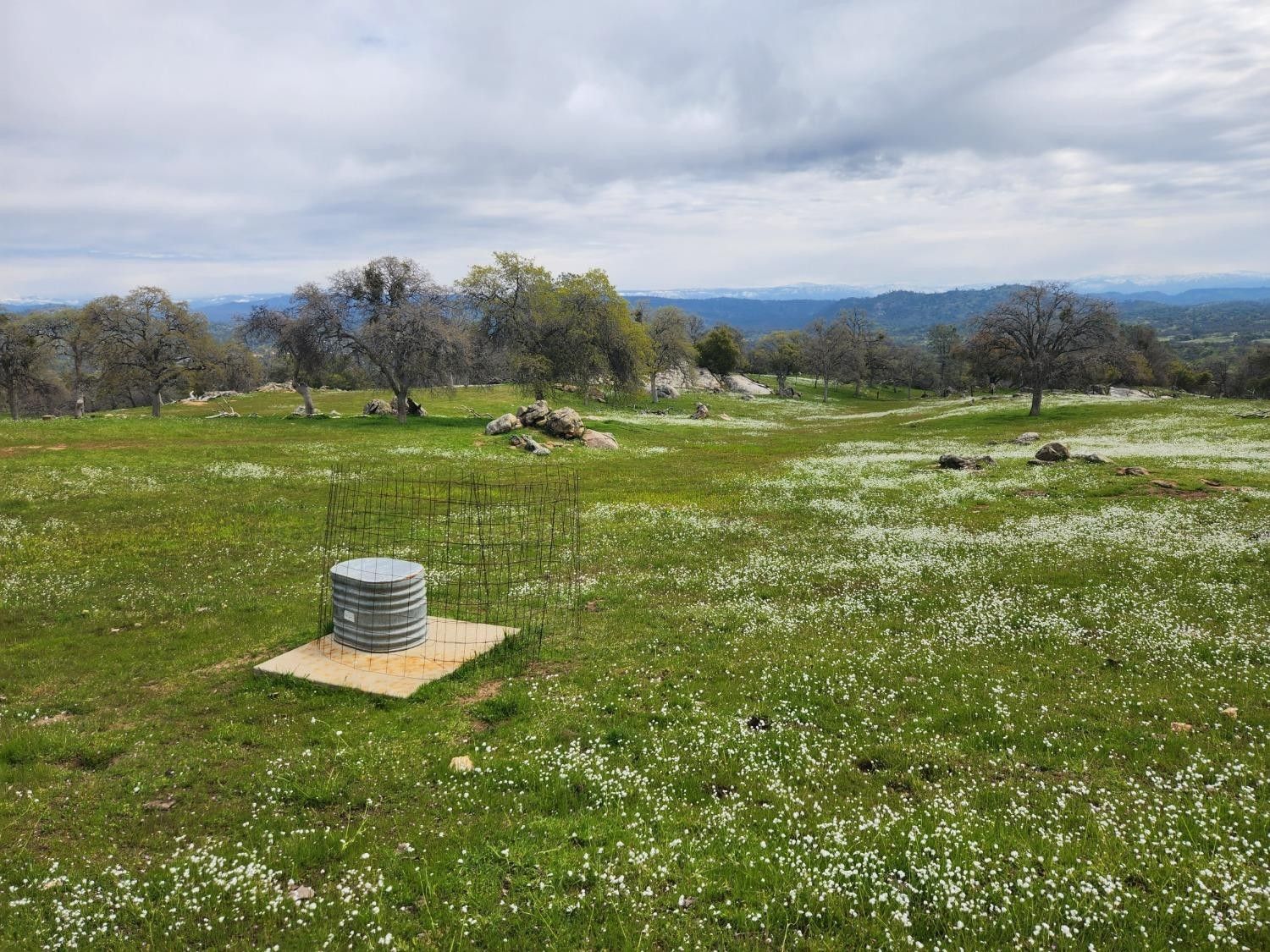 Coarsegold, Madera County, CA Farms and Ranches for sale Property ID