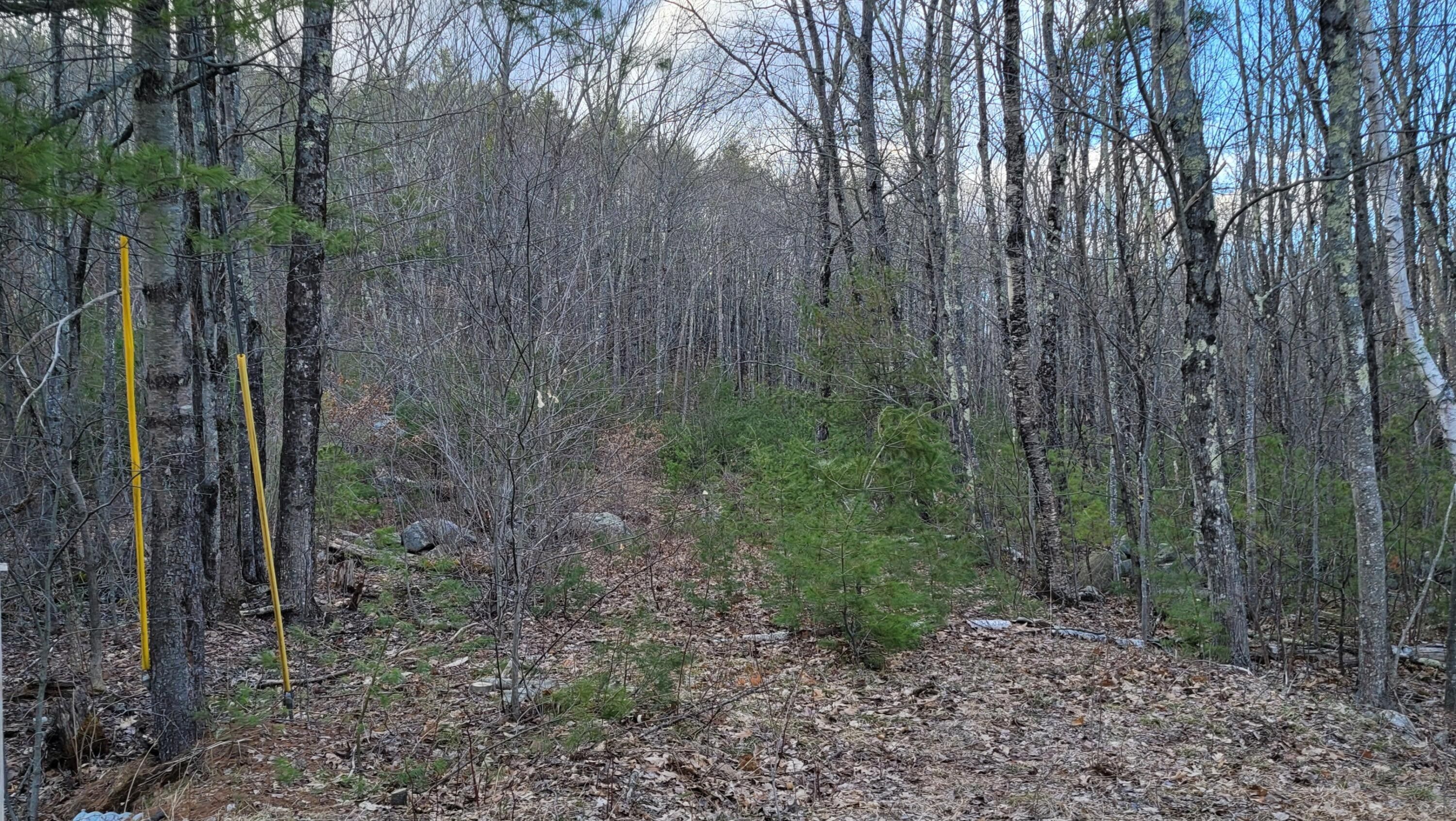 Lyman, York County, ME Undeveloped Land for sale Property ID 416230219