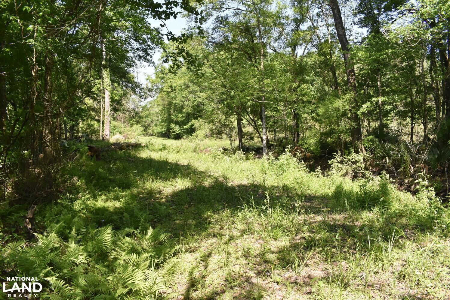 White Castle, Iberville Parish, LA Recreational Property, Timberland