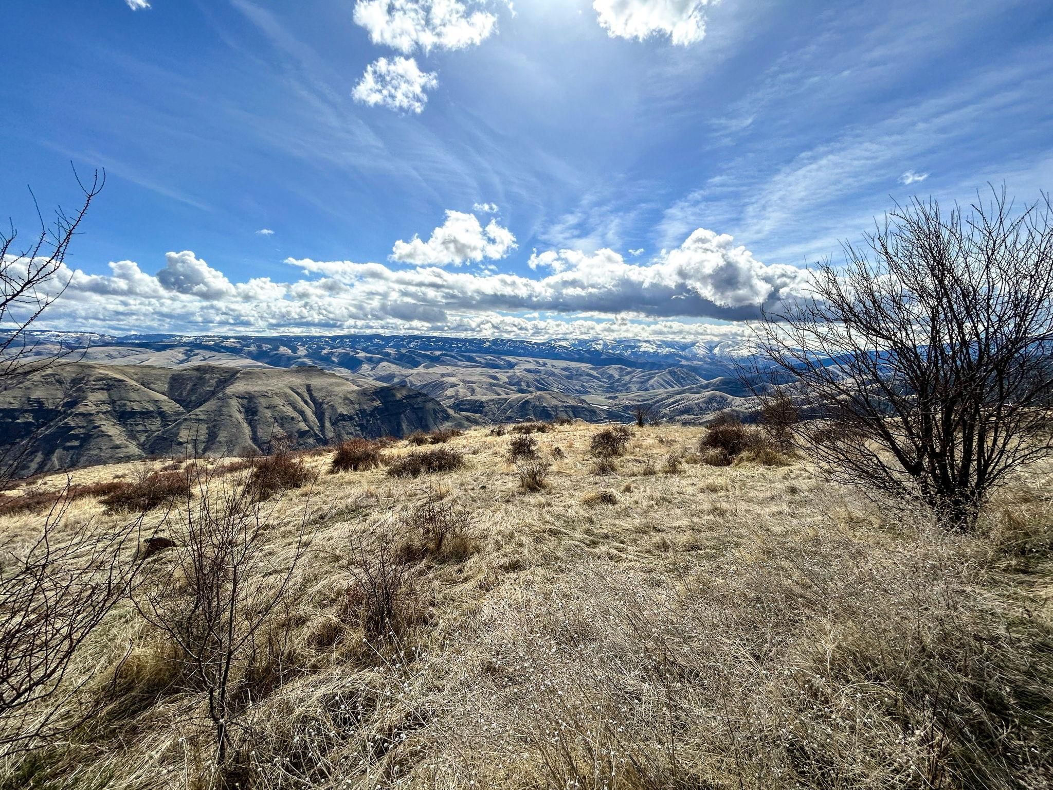 White Bird, Idaho County, ID Recreational Property, Undeveloped Land