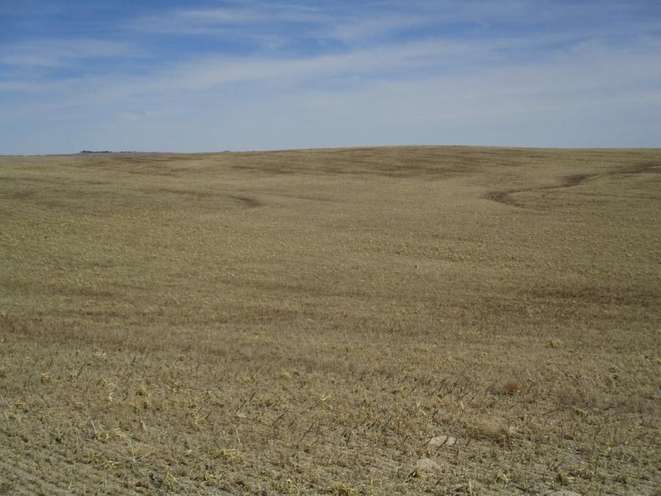 Patricia, County, SD Farms and Ranches for sale Property ID