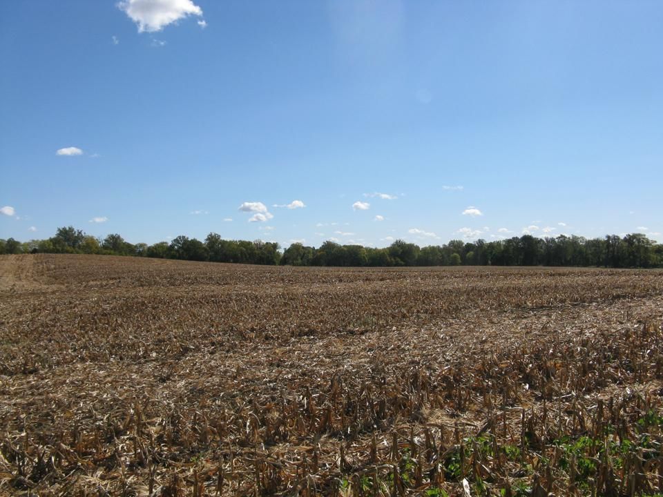 Owensville, Gibson County, IN Farms and Ranches for sale Property ID
