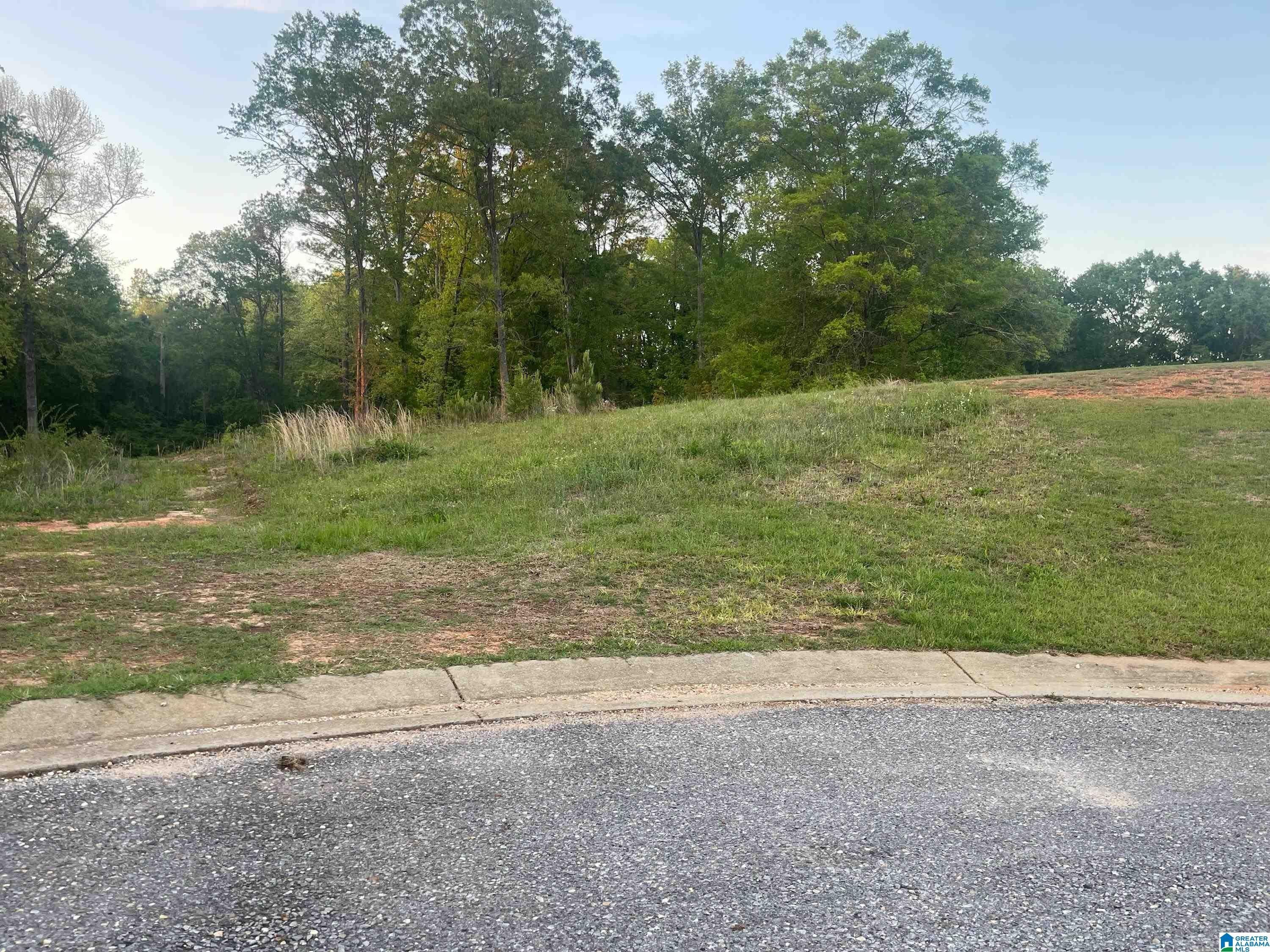 Thorsby, Chilton County, AL Undeveloped Land, Homesites for sale