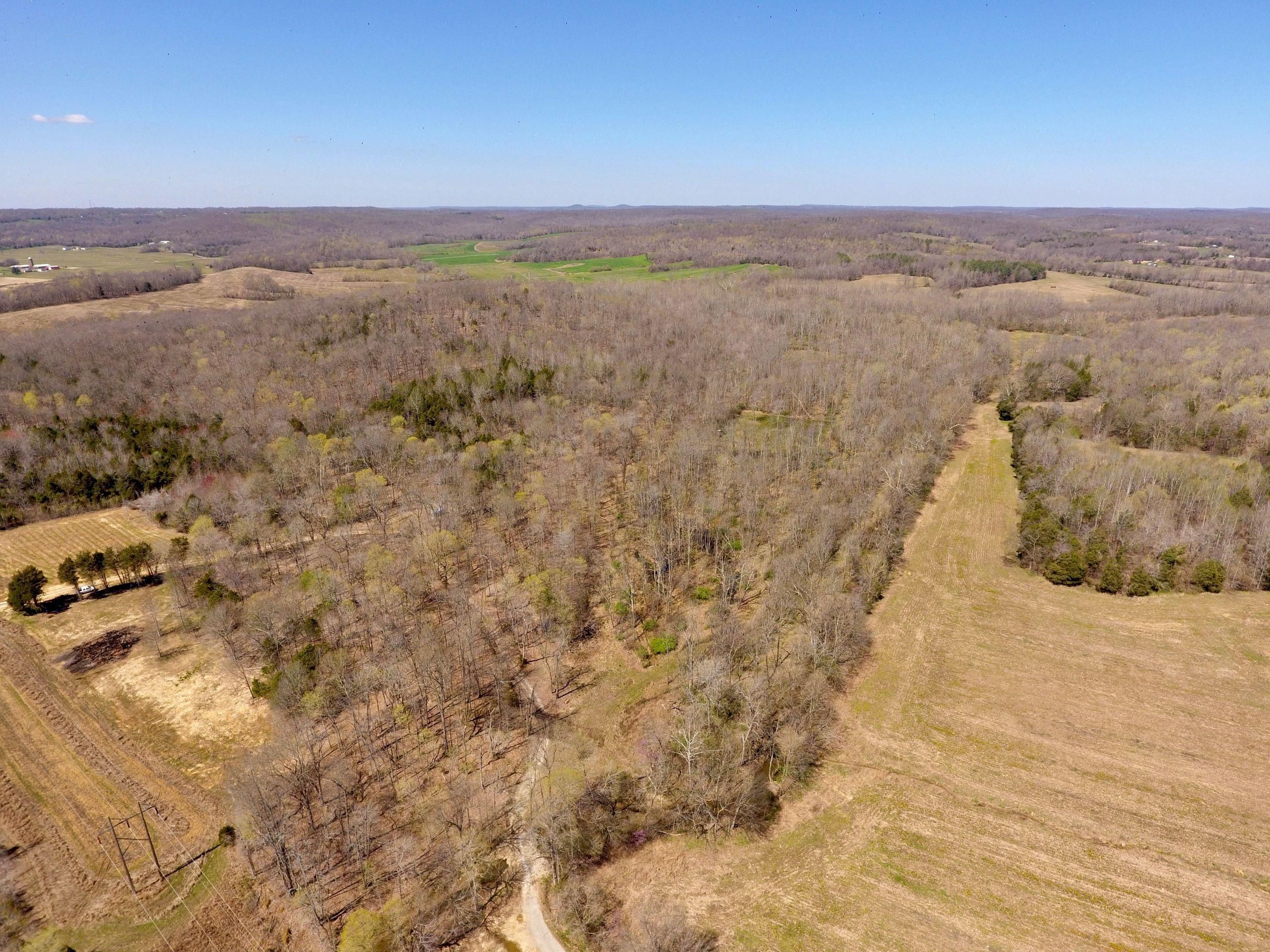 Princeton, Caldwell County, KY Recreational Property, Timberland