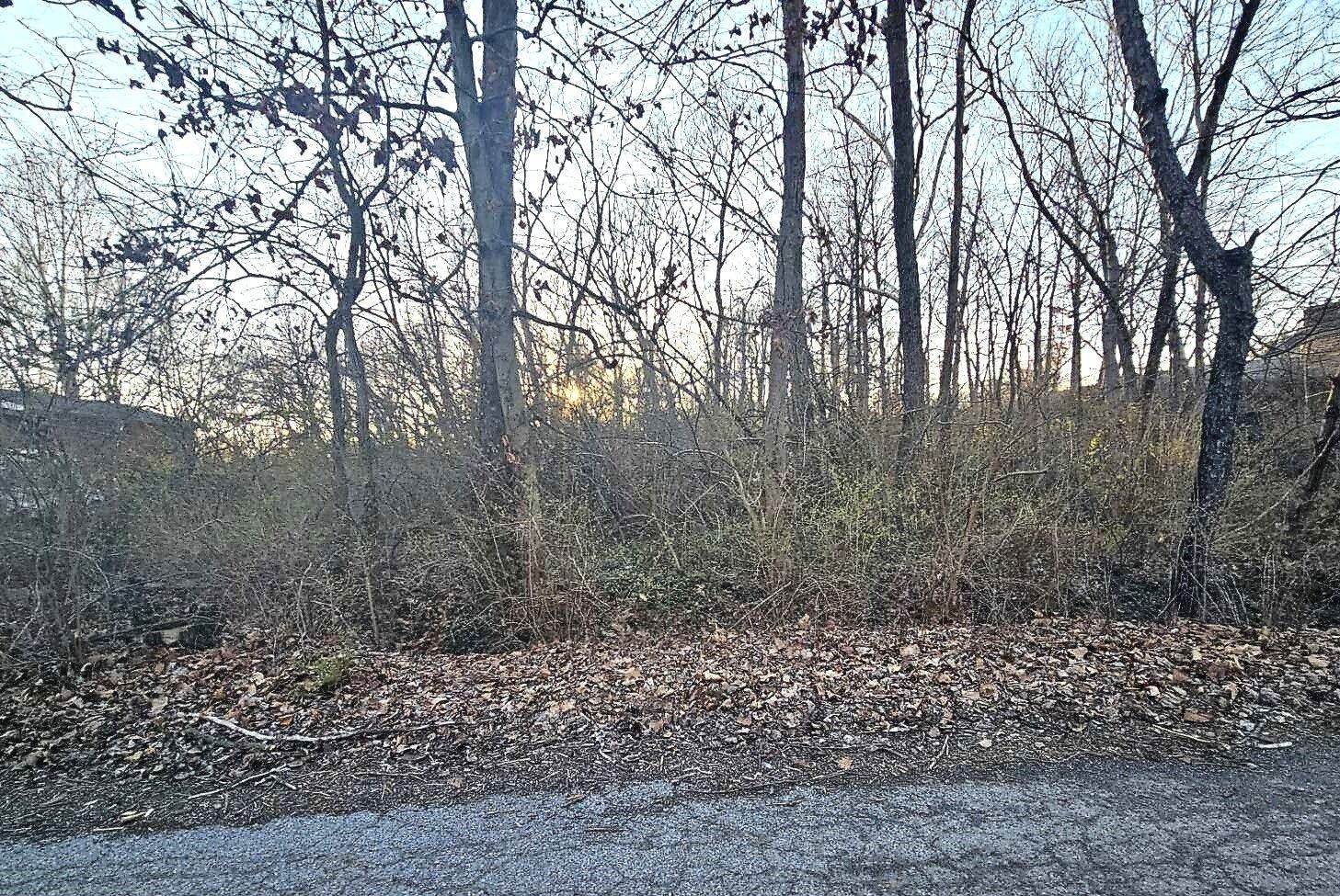 Indianapolis, Marion County, IN Undeveloped Land, Homesites for sale