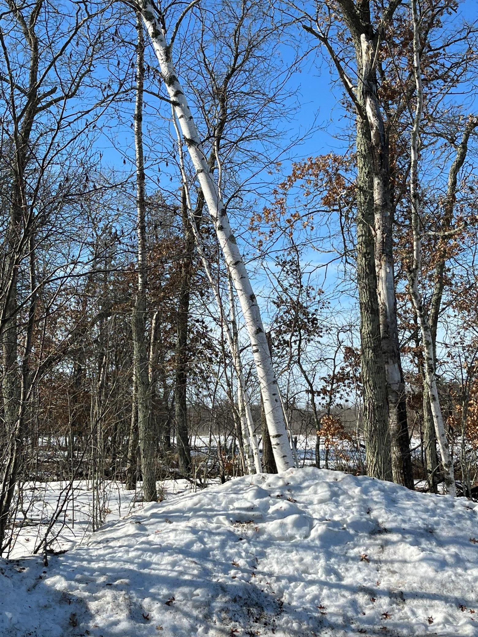 Merrifield, Crow Wing County, MN for sale Property ID 416232130