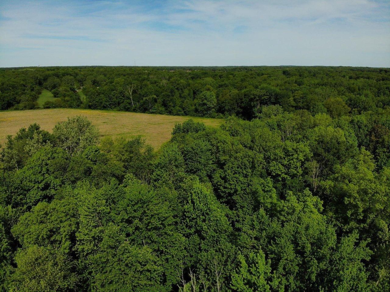 Paw Paw, Van Buren County, MI Farms and Ranches, Recreational Property, Timberland Property for
