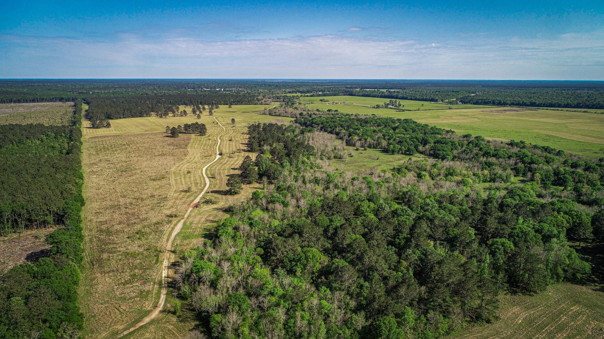 888 acres in Batson, TX, 77519 MLS 888+/ acres ranch and wildlife