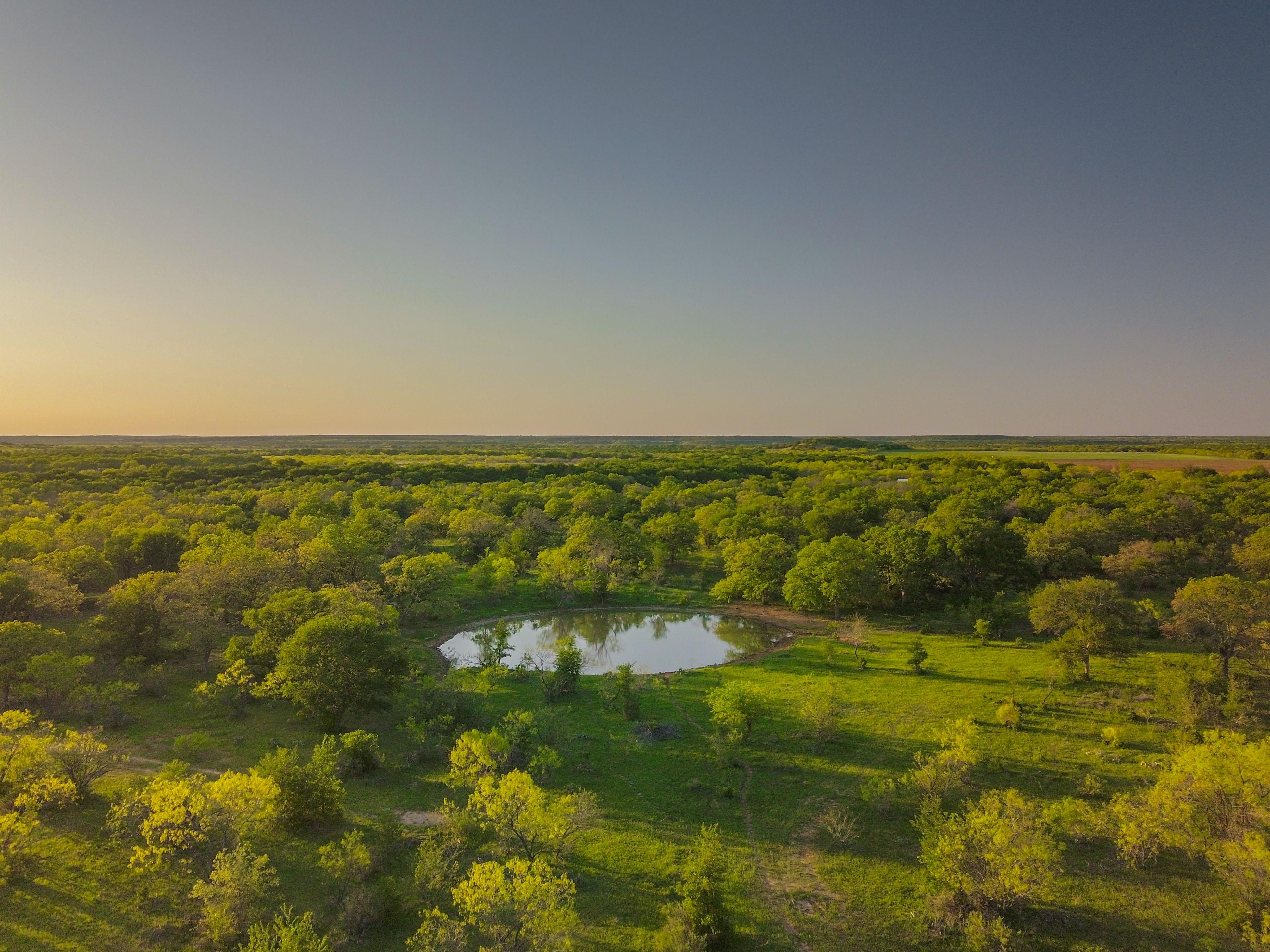 90.5 acres in Gorman, TX, 76454 MLS Secluded Hunting Property with