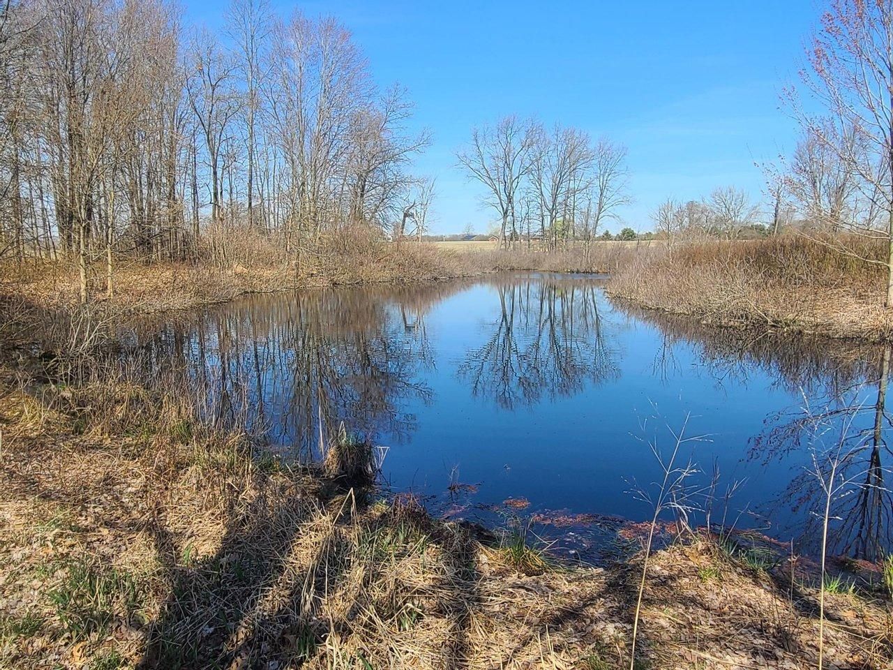 Marcellus, Van Buren County, MI Farms and Ranches, Timberland Property