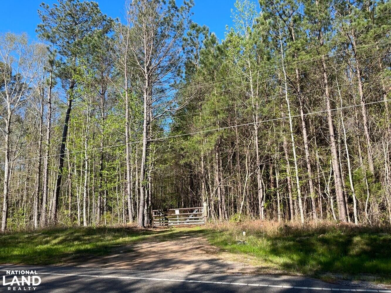 Eclectic, Elmore County, AL Farms and Ranches, Timberland Property, Hunting Property for sale