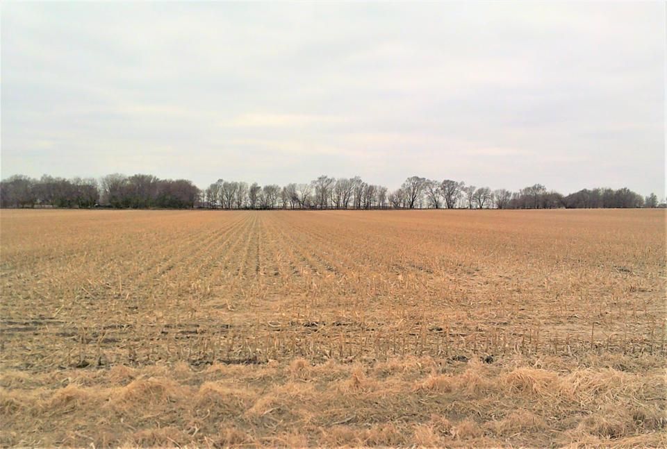 Alda, Hall County, NE Farms and Ranches for sale Property ID 416234123