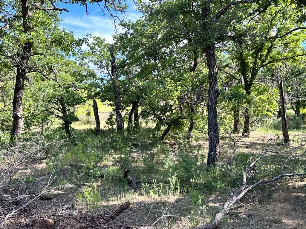 County Road 129, Brownwood, TX 76801 LandWatch