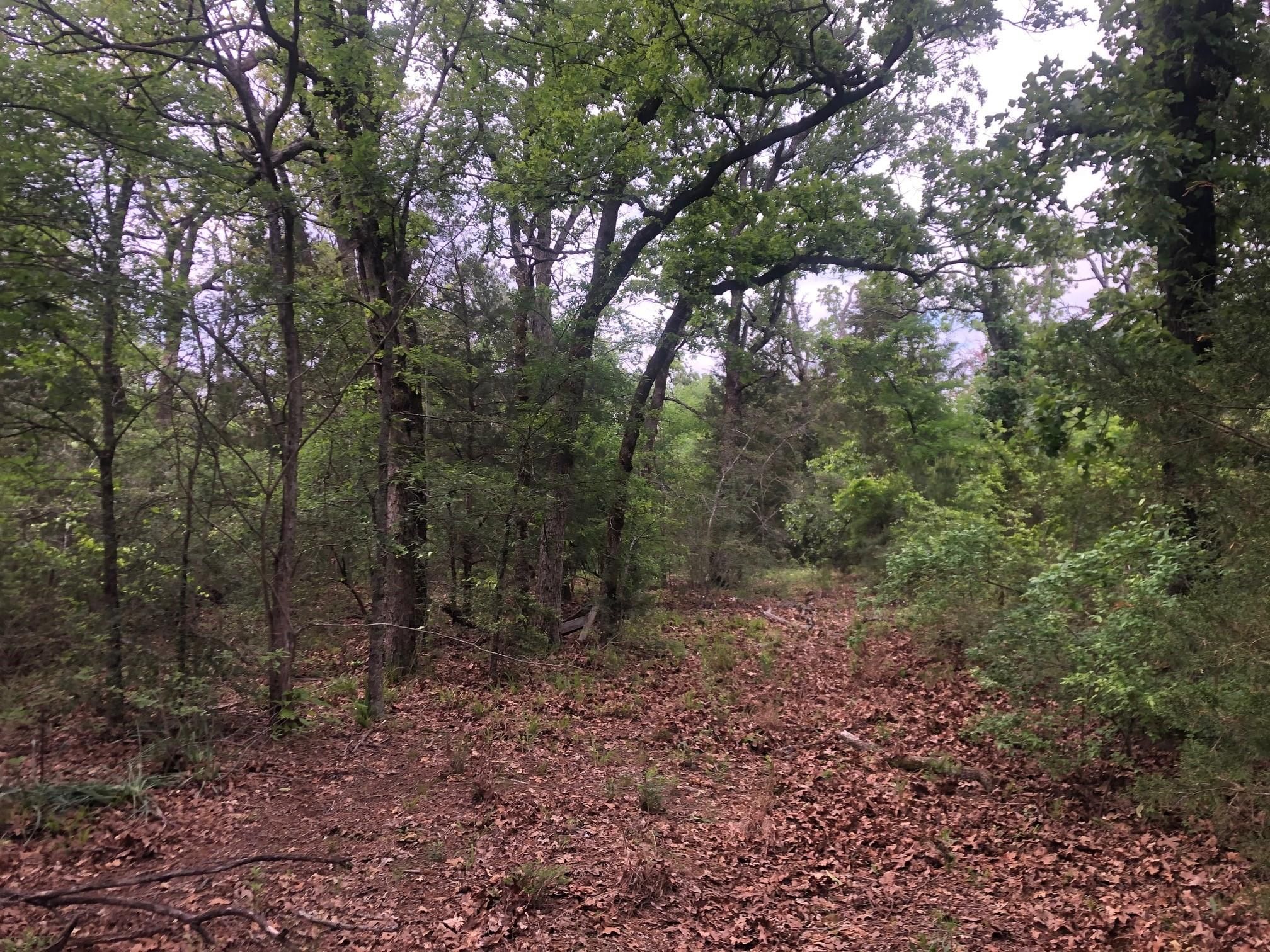 Oakwood, Freestone County, TX Recreational Property, Undeveloped Land