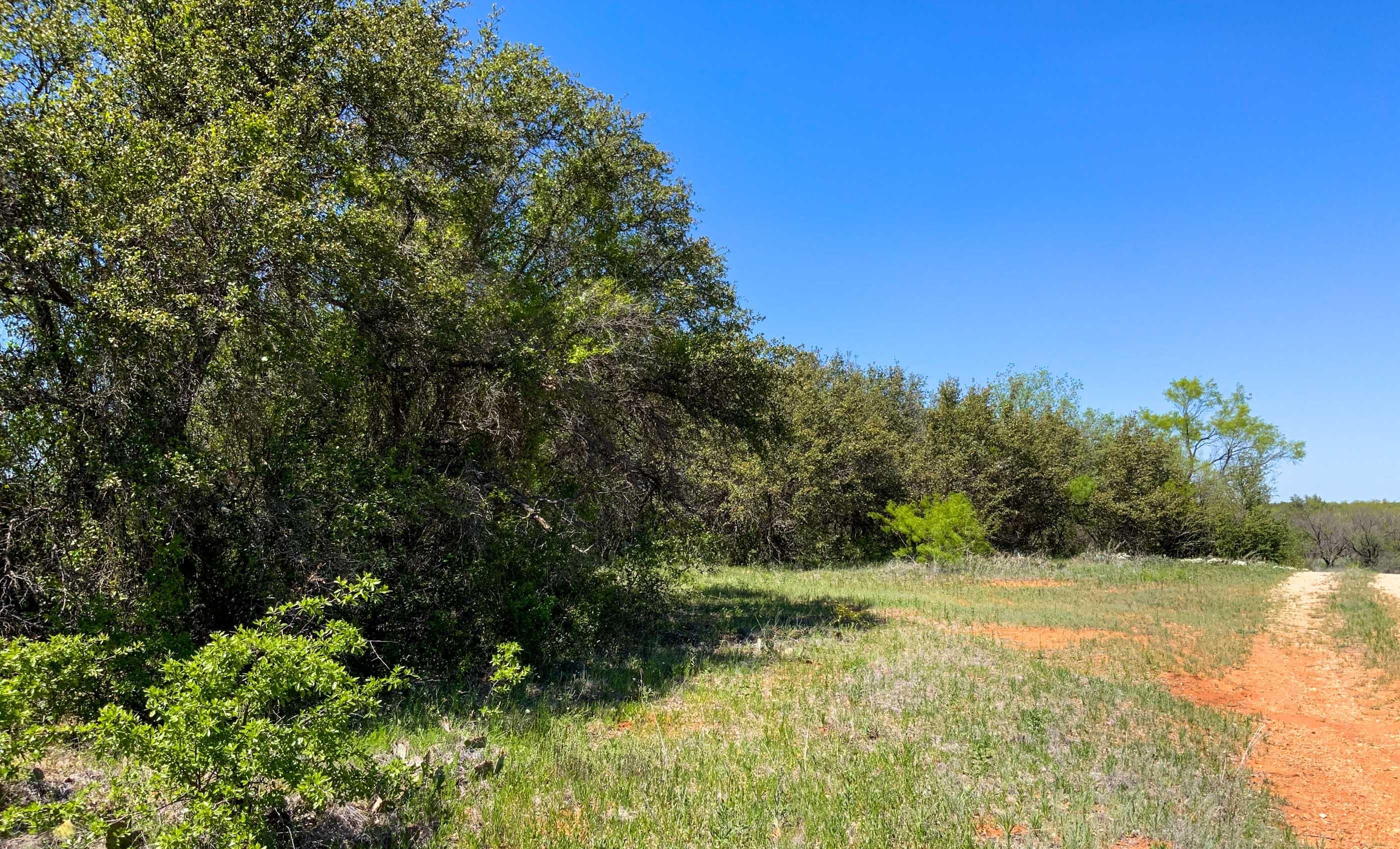 688.2 acres in Moran, TX, 76464 LandWatch