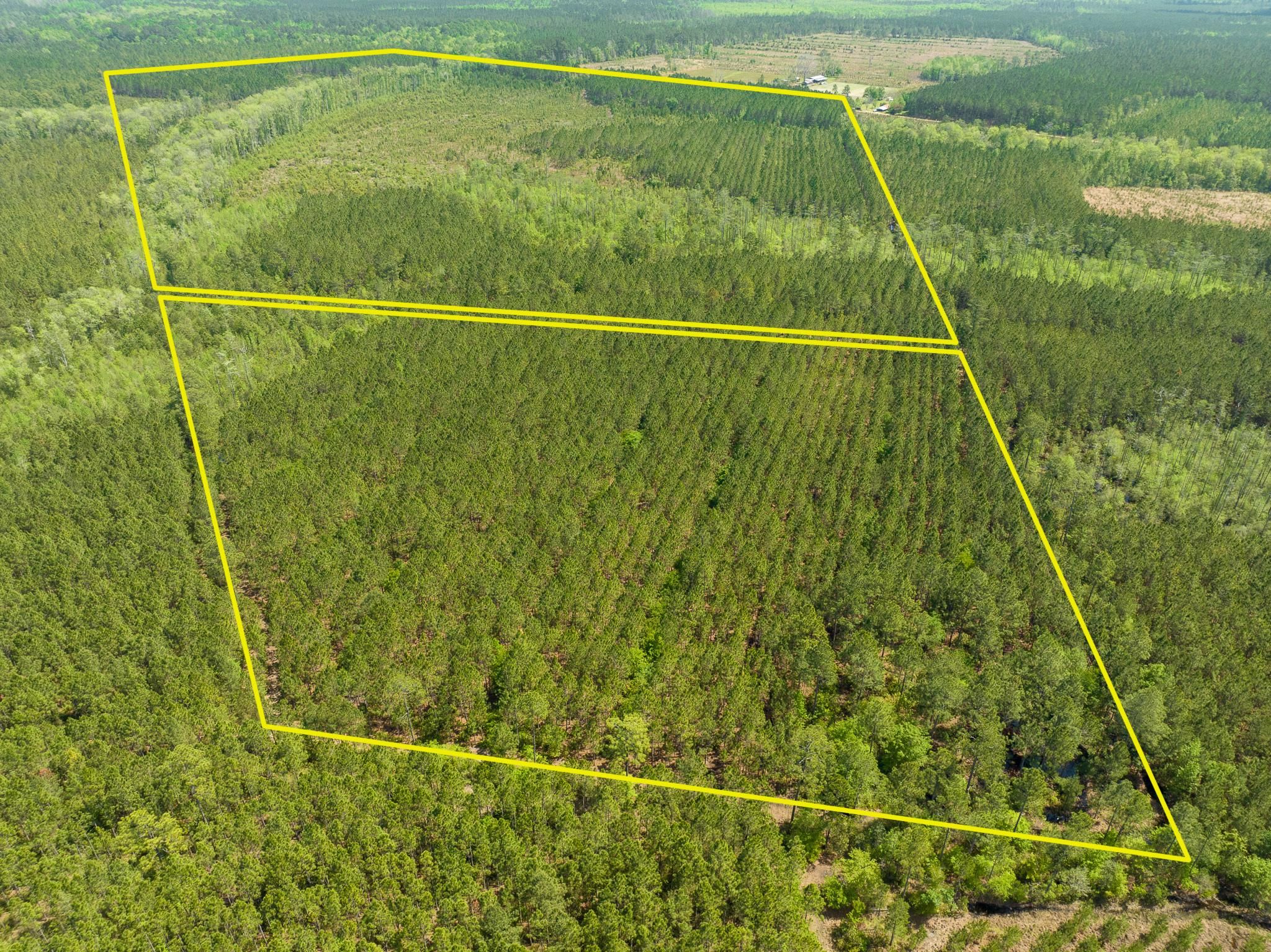 Ludowici, Long County, GA Timberland Property for sale Property ID