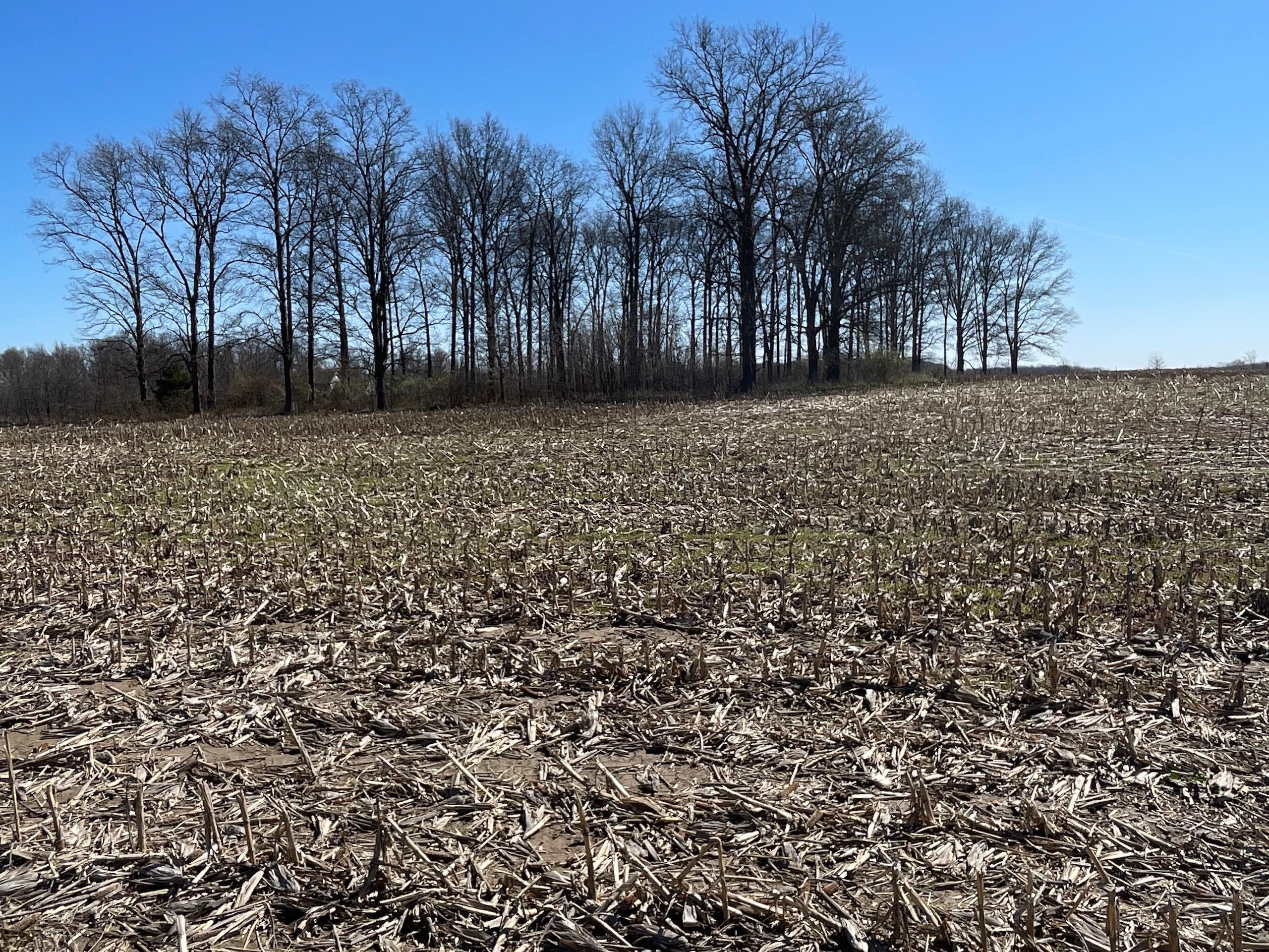 Quincy, Logan County, OH Farms and Ranches, Hunting Property for sale