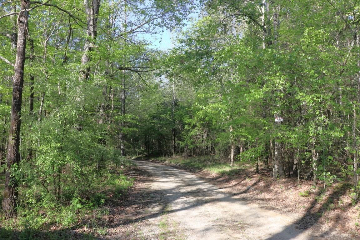 Tillatoba, Yalobusha County, MS Recreational Property, Timberland